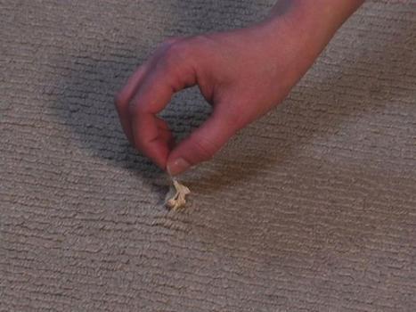 Floor Carpet Adhesive Remover Manufacturer Supplier Exporter